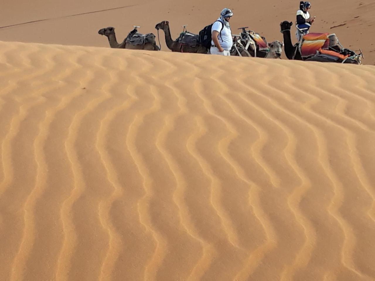 فندق Ammar Luxury Camp مرزوكة الغرفة الصورة